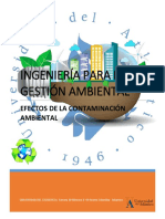INGENIERÍA PARA LA GESTIÓN AMBIENTAL (Autoguardado) PDF