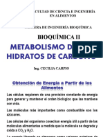 CATABOLISMO-CARBOHIDRATOS-2013.pdf