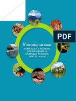 V Informe Nacional Diversidad Biologica de Peru - Minan 2013 PDF