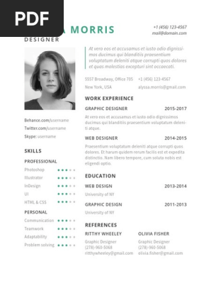 Clean Resume Cv Template (No Printable)