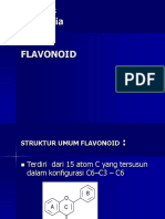 Analisis Flavonoid