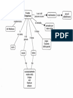 Canto Gregoriano Mappa Concettuale