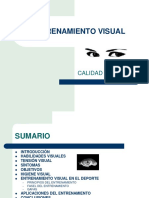 entrenamiento-visual.pdf