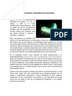 TEXTO Animales Que Brillan Enlaoscuridad PDF