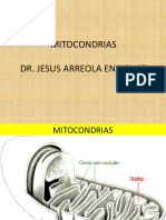 Mitocondrias Dr. Jesus Arreola Enriquez