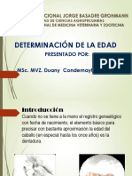 Determinación de La Edad Clase IV