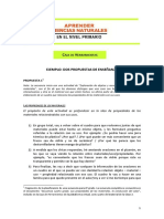 Ejemplo Dos Propuestas de Ensef1anza Clase 5 1