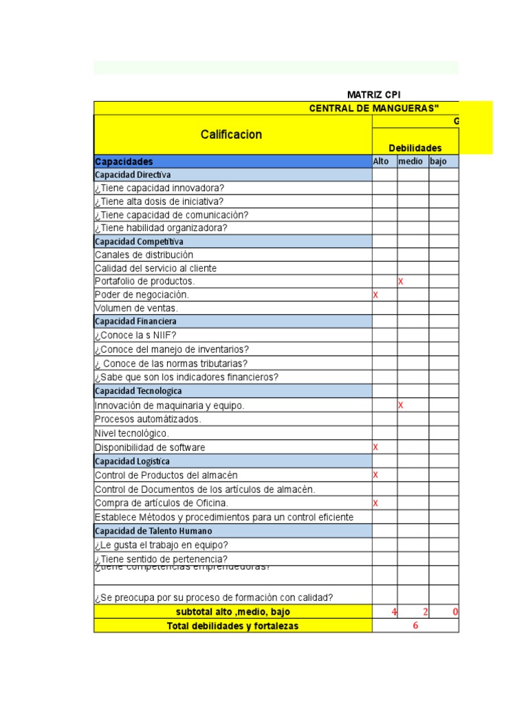 Análisis de Matrices PCI y POAM | PDF | Business | Economias