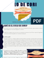 Ciclo de cori.pptx