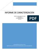 ANALISIS DE LA CARACTERIZACION.docx