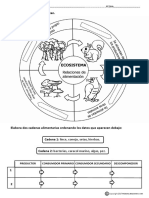 Los Ecosistemas Cadena Trófica Actividades PDF