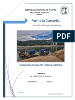 impacto ambiental Evaluacion del Puente la Concordia 2.docx