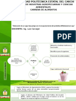 Presentación del proyecto.pptx