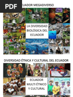 COLLAGE ECUADOR MEGADIVERSO.docx