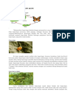 Metamorfosis Kupu