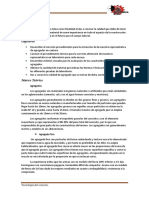 informe-de-tec.docx