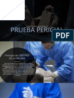 PRUEBA PERICIAL-2.pptx