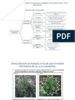 Cuestionario sobre biotipos y formas vitales de plantas