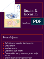 ENZIM DAN SISTEM PENCERNAAN