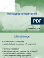 Acinetobacter baumannii: Presented by Ri 沈士雄