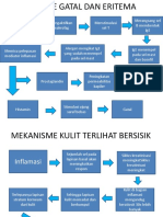 Mekanisme Gatal Dan Kulit Bersisik PDF
