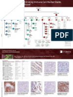 Tumor-Infiltrating Immune Cell Marker Guide (Mouse) : Leukocytes
