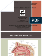 Rhinosinusitis Kronik