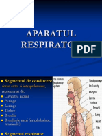 Aparatul Respirator