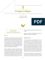 Cirugía urológica.pdf