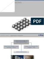 Presentación Sistema COBIAX.pdf