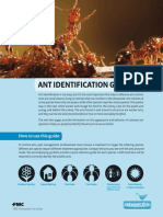 FMC Ant ID brochure_RETWEET.pdf