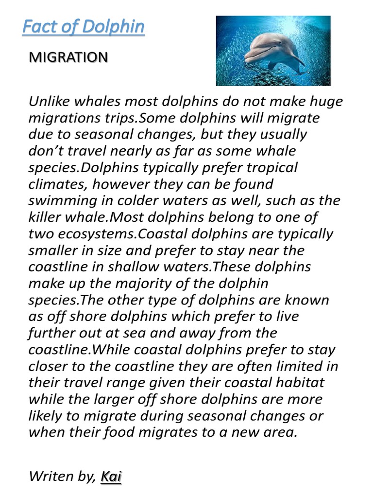 Dolphin Migration Patterns Explained | PDF