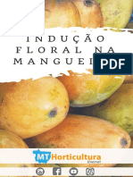 indução-floral-na-mangueira.pdf