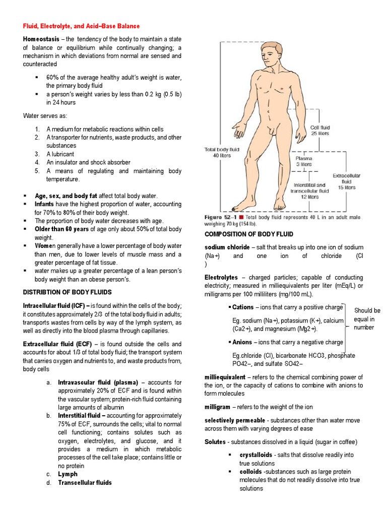 Body Fluid and Electrolyte Balance Guide | PDF | Intravenous Therapy ...
