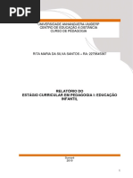 RELATÓRIO FINAL PARCIAL.docx