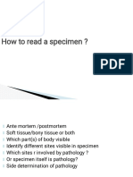 How To Read A Specimen