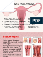 Kelompok 2 Vagina Fix