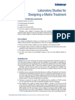 Lab Tests For Stimulation PDF