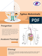 Tifus Abdomen