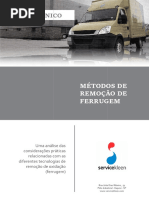 Guia técnico sobre ferrugem