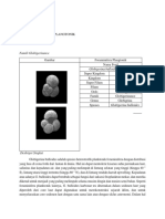 Foraminifera Plangtonik