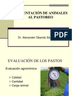Alimentación Animales Al Pastoreo