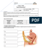 EV_PUBERTAD UNA ETAPA DE CAMBIOS.docx