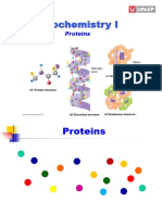 Presentación Proteínas