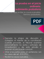 La Prueba en El Juicio Ordinario. Procedimiento Probatorio