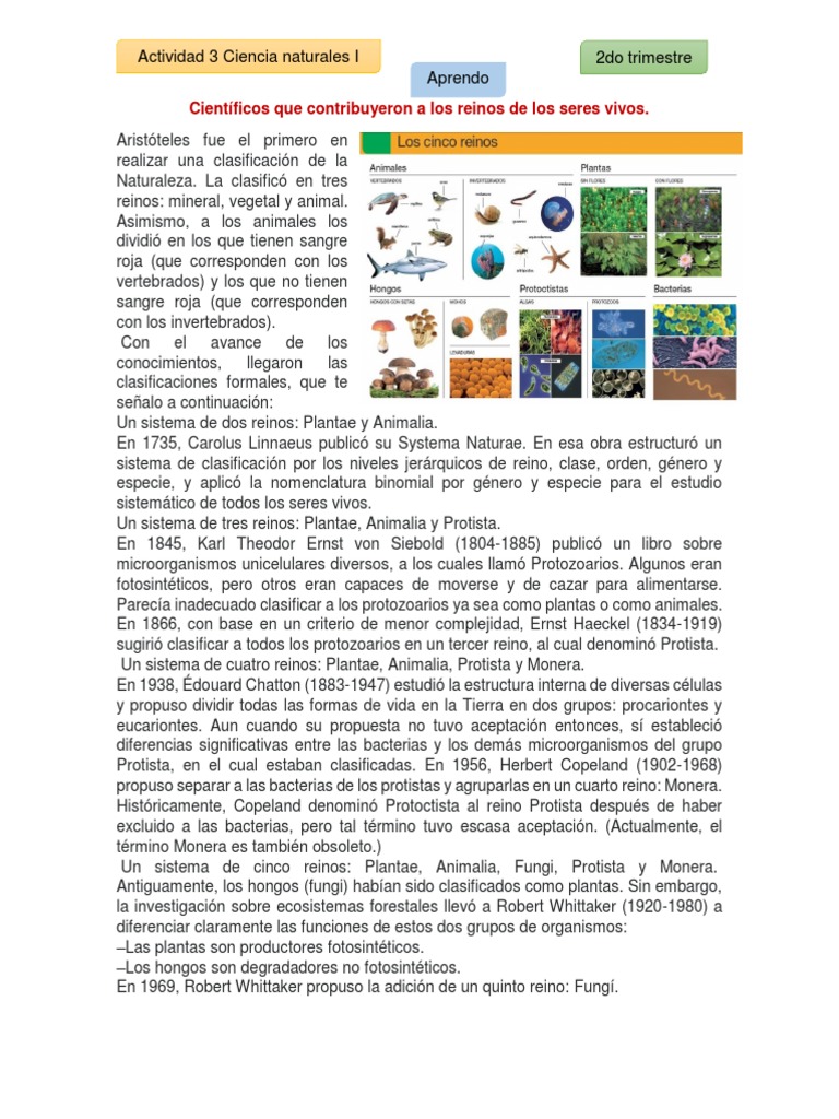 Evolución de la Clasificación de Reinos | PDF | Plantas | Hongo