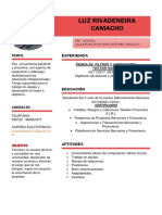 Curriculum Luz PDF