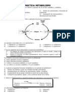 PRÁCTICA Metabolismo PDF