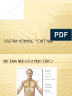 3 - Sistema Nervoso Periférico - Professor Fabrício Brito 