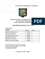 Informe GEOLOGIA 1